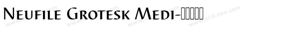Neufile Grotesk Medi字体转换